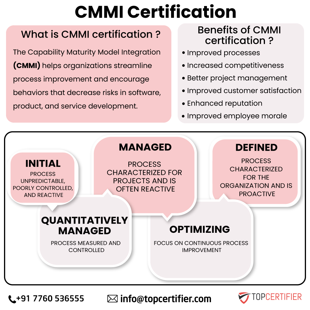 CMMI in Egypt